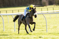 Pony Race 2 (20 of 22).jpg