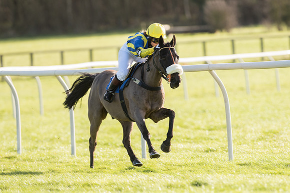 Pony Race 2 (20 of 22).jpg
