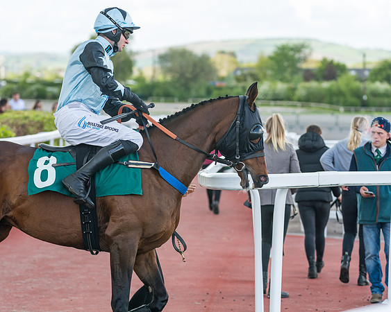 Race 3 - KTDA Open Hunter Chase (95 of 317)