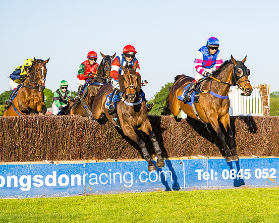 Race 5 - Whitw Swan Handicap (4 of 67)