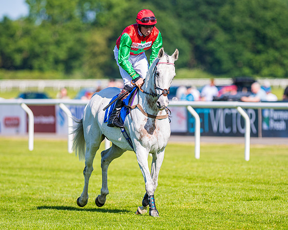 Race 1 - JFF Open Hunter Steeple Chase 2m  (13 of 202)