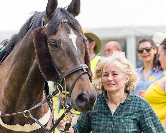 Race 2 - Owner-Trainer Conditions  (14 of 208)