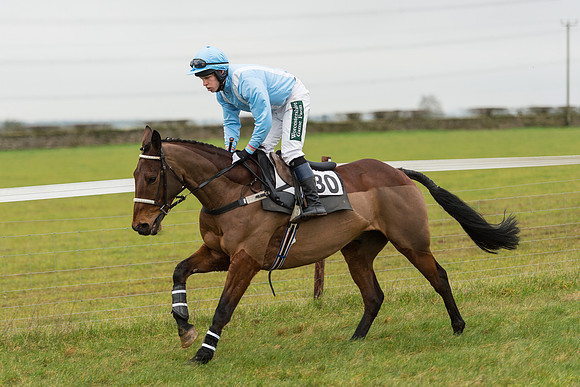 Race 3 - Novice Riders Race (3 of 150).jpg