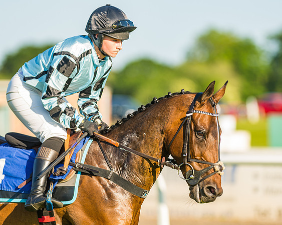Race 3 - John Corbet Cup (31 of 127)