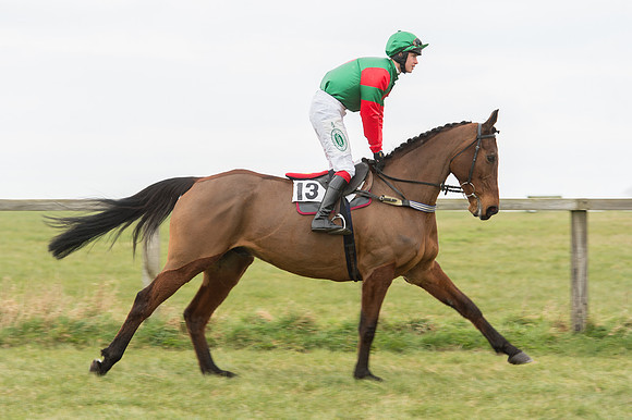 Race 2 - PPORA Novice riders  (51 of 186).jpg