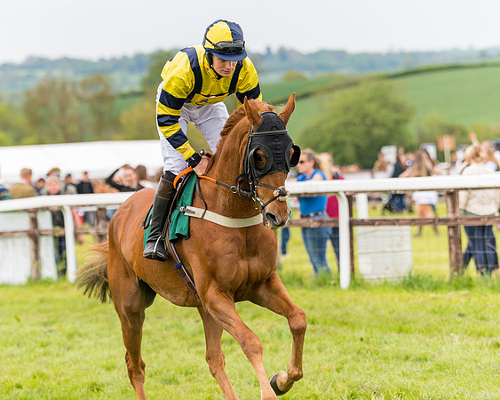 Race 7 - Veteran Horse conditions (81 of 244)