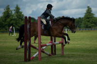 SOHS PC Summer Show at BCA 17th June 2012