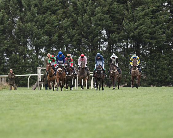 Race 4 - Restricted (33 of 58).jpg