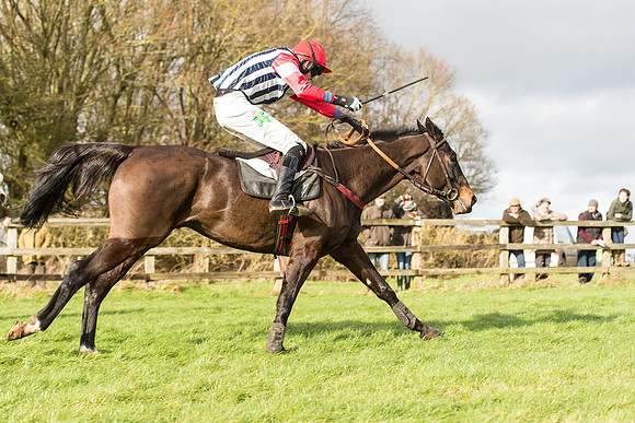 Race 3 - PPORA Members Novice Riders (61 of 84).jpg