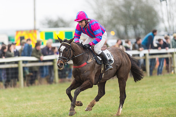 Race 6 - Open Maiden Race Div 2  (76 of 118).jpg