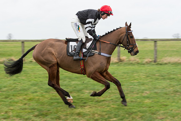 Race 7 - Open Maiden (10 of 131).jpg