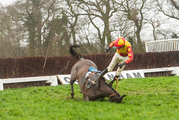 Race 6 - Open Maiden DIvision 1  (99 of 168).jpg