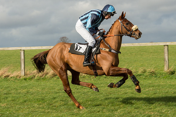 Race 2 - Young Horse Maiden (27 of 110).jpg