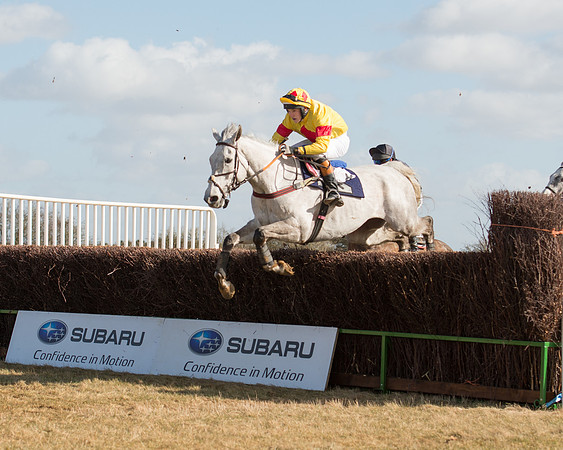 Race 1 - 4-5-6 Maiden (74 of 119).jpg