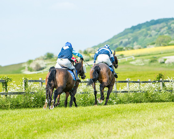 Race 4 - Mixed Open  (306 of 461)