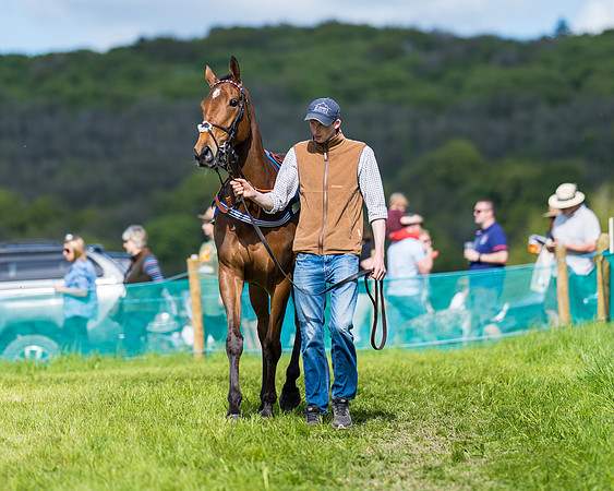 Race 5 - 2m5f Maiden (32 of 144)