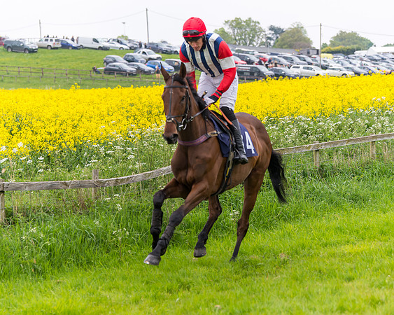 Race 6 - The Maiden [NWFAA] (24 of 143)
