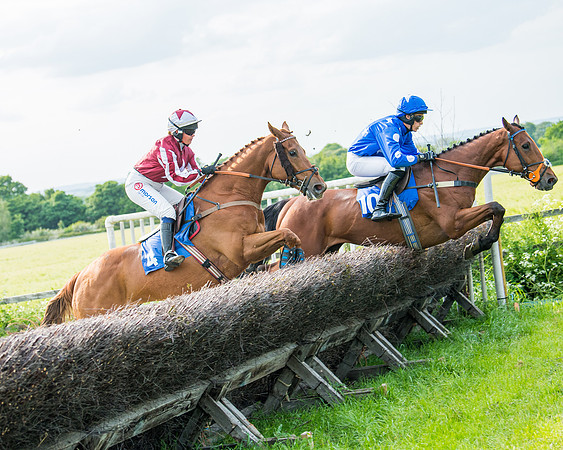 Race 6 - Open Maiden (190 of 346)