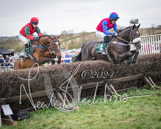 Race 6 - The Restricted Race (33 of 101)