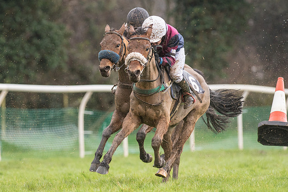Pony Race 2 -  (13 of 17).jpg