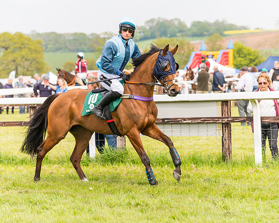 Race 2 - Owner-Trainer Conditions  (31 of 208)