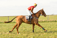 Race 5 - Restricted Race (4 of 98).jpg