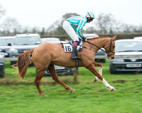 Race 5 - Open Maiden (13 of 65).jpg