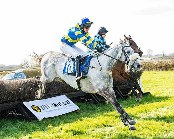 Race 4 - The Warehouse Reit Mixed Open Race  (55 of 124)