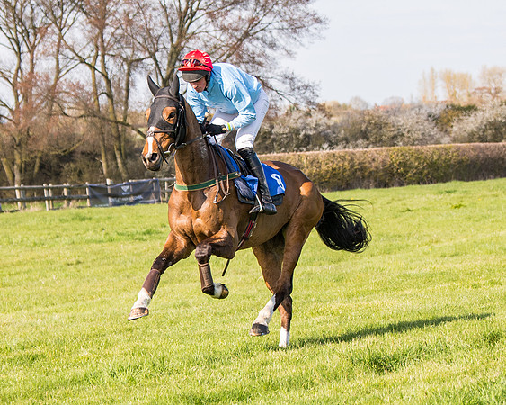 Race 5 - The Waverton Investment Management Ltd Restricted Race farmers and subscribers Race  (38 of 161)