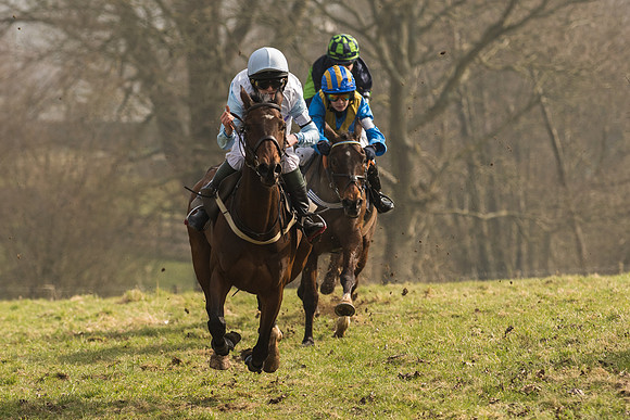 Pony Race 2 -  (9 of 32).jpg
