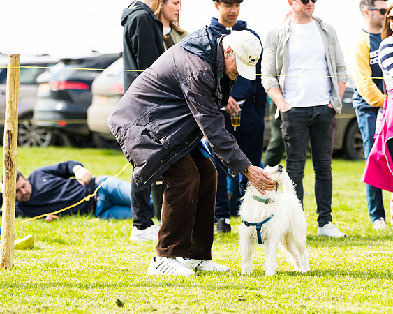 Dog show etc (92 of 157)