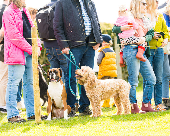 Dog show etc (86 of 157)