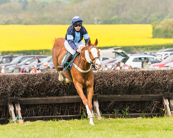 Race 2 - Owner-Trainer Conditions  (73 of 208)