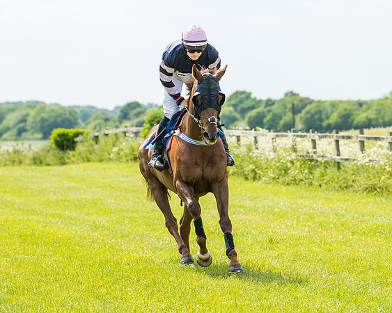 Race 2 - PPORA Novice Riders (126 of 444)