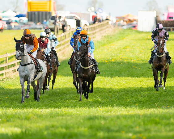 Race 7 - Maiden  (39 of 113)