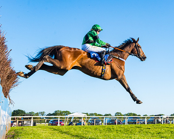 Race 5 - Whitw Swan Handicap (53 of 67)
