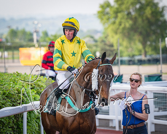 Race 4 - The Jonathan Neesom memorial open Hunter’s steeplechase 3m2f 70y (23 of 167)