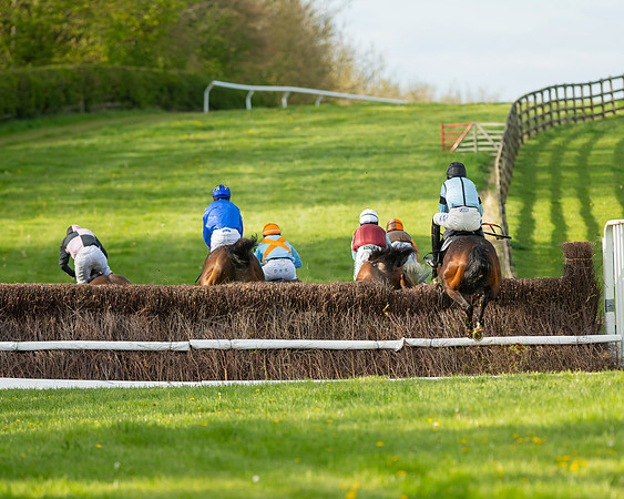 Race 7 - Maiden  (45 of 113)