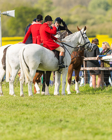 Race 5 - Restricted  (5 of 164)