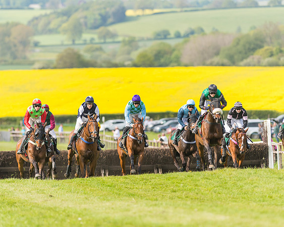 Race 5 - Restricted  (66 of 164)