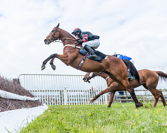 Race 2 - ROR and veteran Horse Conditions race (41 of 77)