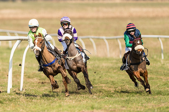 Pony Race 1 - 128 -  (3 of 24).jpg