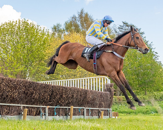 Race 5 - Novice and Veteran Riders (21 of 91)