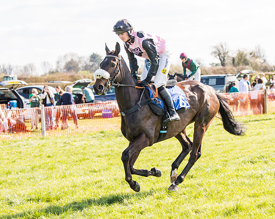 Race 5 - The Waverton Investment Management Ltd Restricted Race farmers and subscribers Race  (8 of 161)