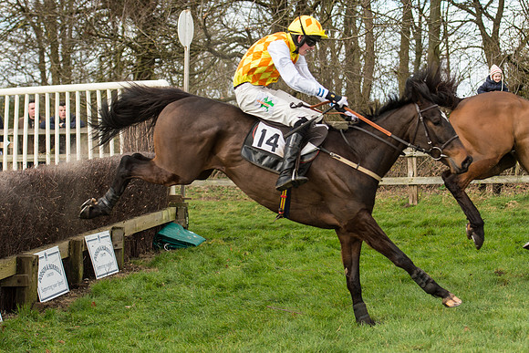 Race 2 - Young Horse Maiden (86 of 110).jpg