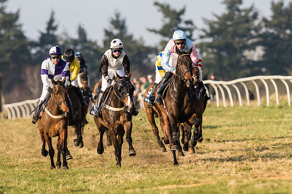 Race 5 - Restricted Race (36 of 64).jpg
