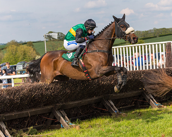 Race 5 - Restricted  (90 of 164)