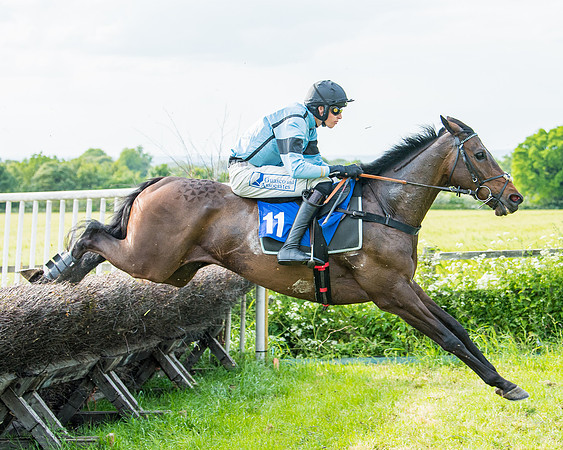 Race 6 - Open Maiden (199 of 346)