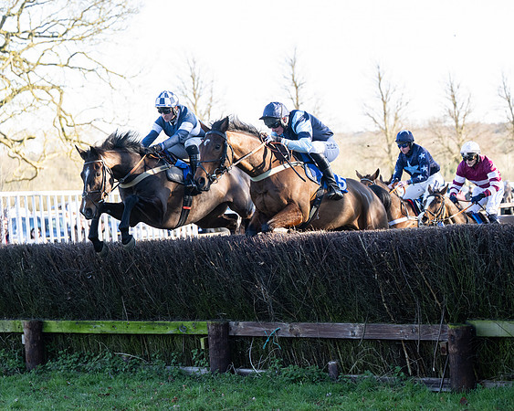 Race 5 - Maiden (48 of 123)