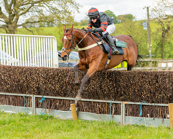 Race 2 - ROR and veteran Horse Conditions race (29 of 77)